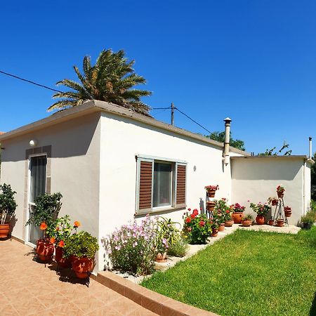Repanidi Apartment D / Ρεπανίδι Διαμέρισμα Δ Repanidhion Ngoại thất bức ảnh