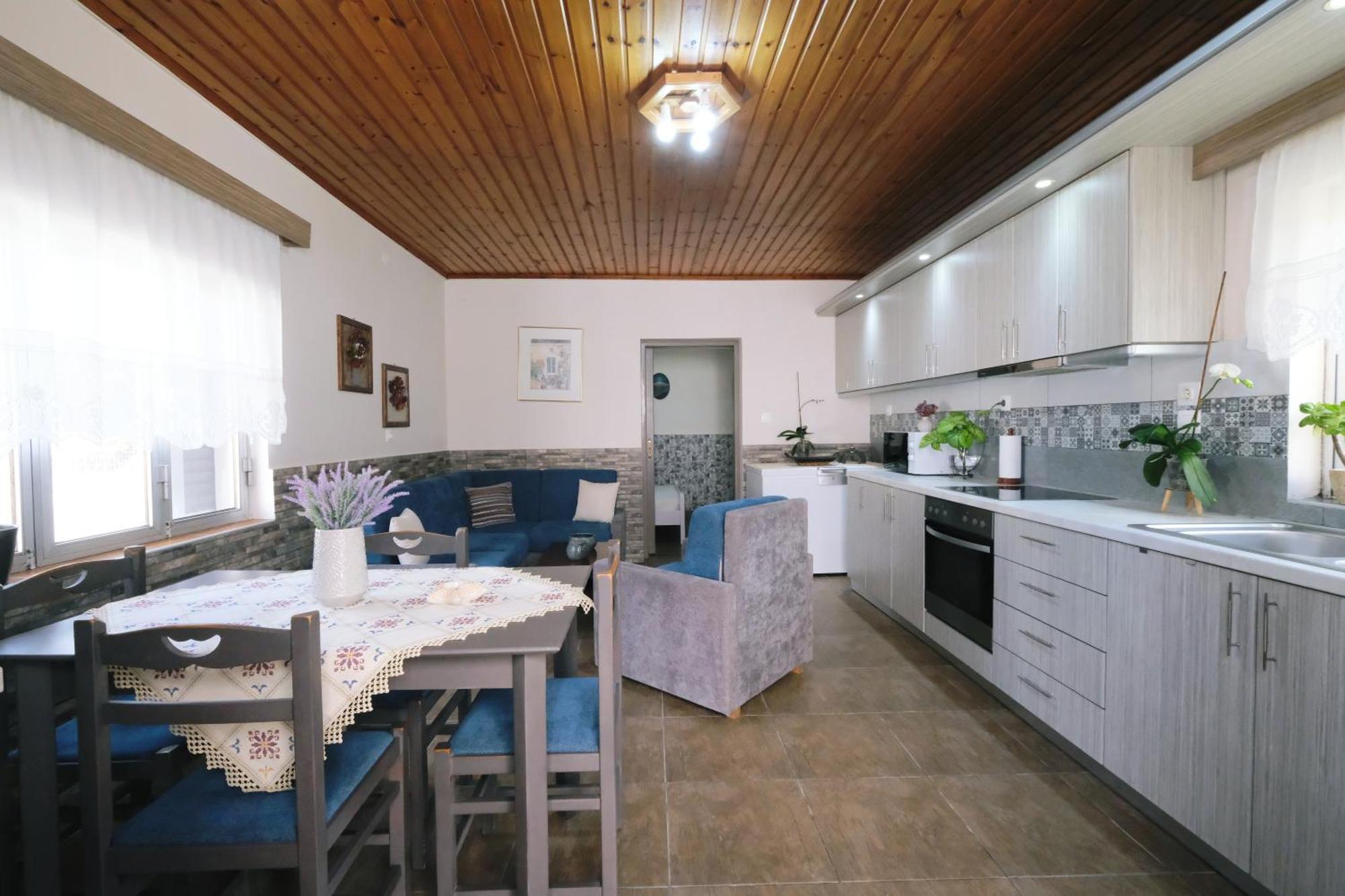 Repanidi Apartment D / Ρεπανίδι Διαμέρισμα Δ Repanidhion Ngoại thất bức ảnh