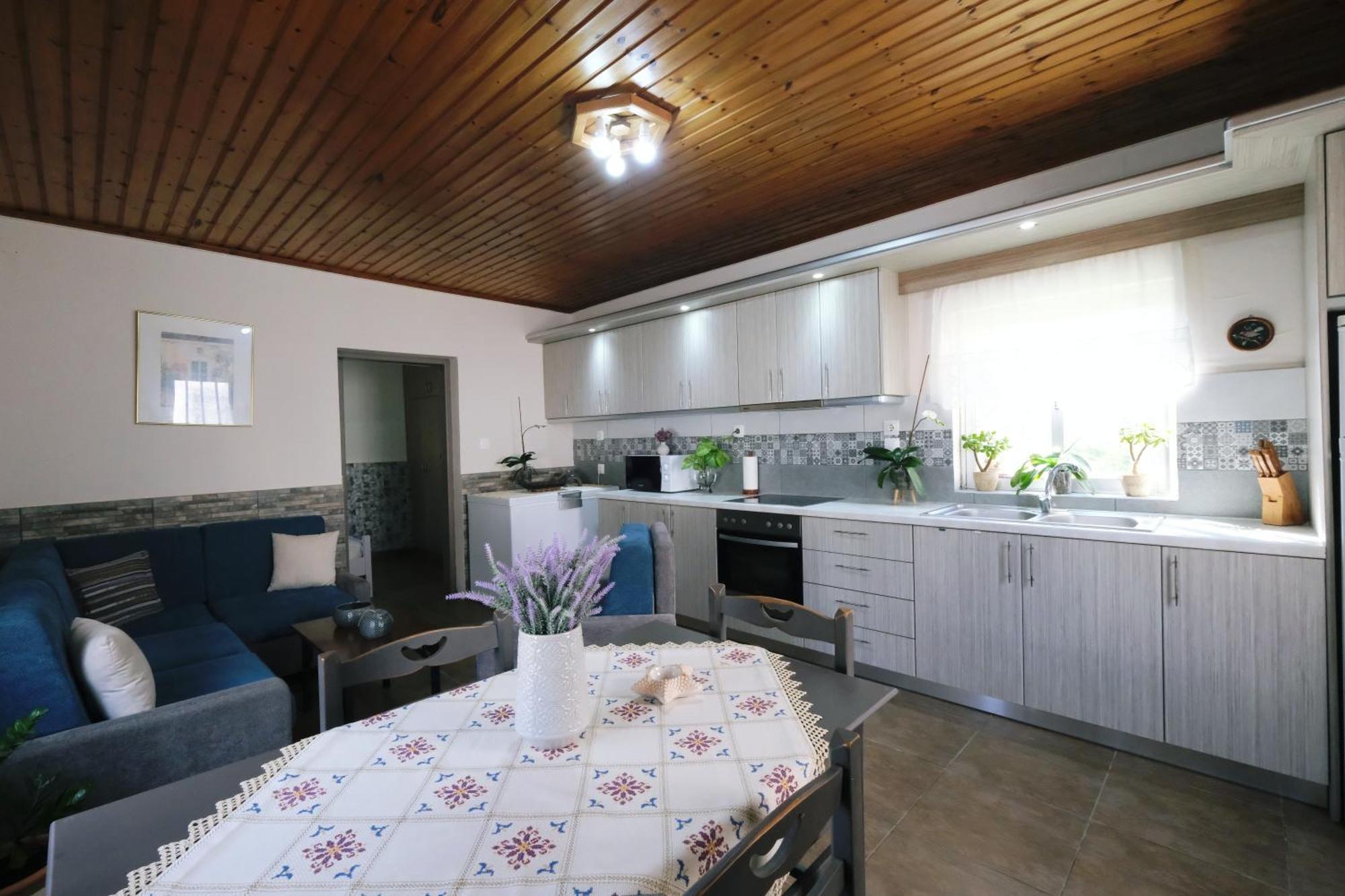 Repanidi Apartment D / Ρεπανίδι Διαμέρισμα Δ Repanidhion Ngoại thất bức ảnh