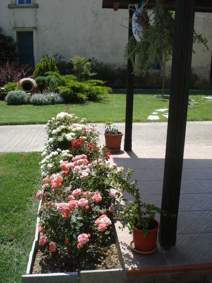 Repanidi Apartment D / Ρεπανίδι Διαμέρισμα Δ Repanidhion Ngoại thất bức ảnh